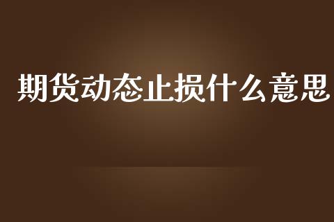 期货动态止损什么意思_https://m.jnlaobingbanjia.com_金融监管_第1张