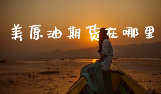 美原油期货在哪里_https://m.jnlaobingbanjia.com_股市新闻_第1张