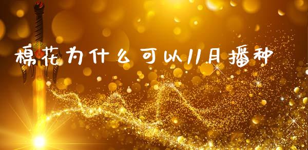 棉花为什么可以11月播种_https://m.jnlaobingbanjia.com_理财规划_第1张