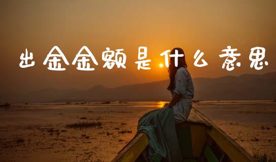 出金金额是什么意思_https://m.jnlaobingbanjia.com_基金市场_第1张