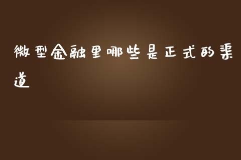 微型金融里哪些是正式的渠道_https://m.jnlaobingbanjia.com_全球市场_第1张