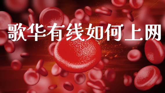 歌华有线如何上网_https://m.jnlaobingbanjia.com_理财规划_第1张