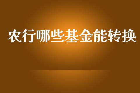 农行哪些基金能转换_https://m.jnlaobingbanjia.com_金融监管_第1张
