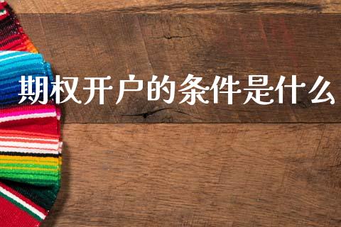 期权开户的条件是什么_https://m.jnlaobingbanjia.com_理财规划_第1张