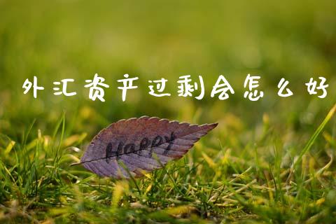 外汇资产过剩会怎么好_https://m.jnlaobingbanjia.com_区块链_第1张