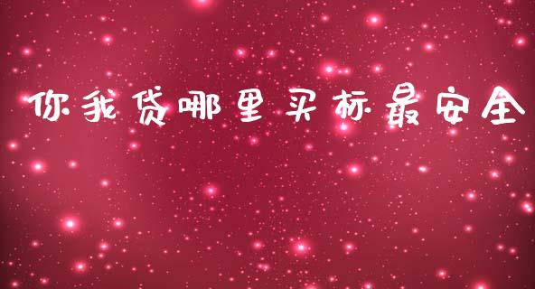 你我贷哪里买标最安全_https://m.jnlaobingbanjia.com_金融监管_第1张
