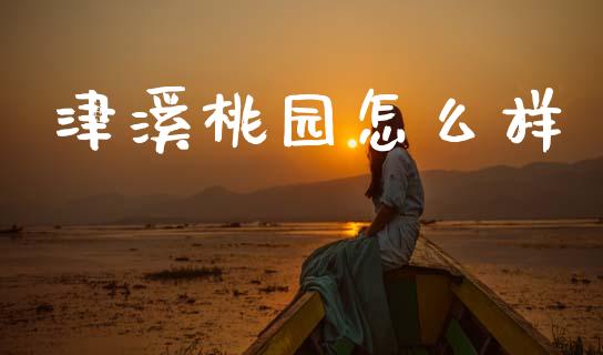津溪桃园怎么样_https://m.jnlaobingbanjia.com_金融监管_第1张