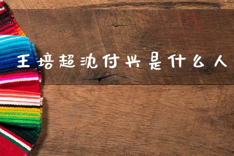 王培超沈付兴是什么人_https://m.jnlaobingbanjia.com_区块链_第1张