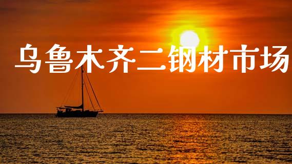 乌鲁木齐二钢材市场_https://m.jnlaobingbanjia.com_金融监管_第1张