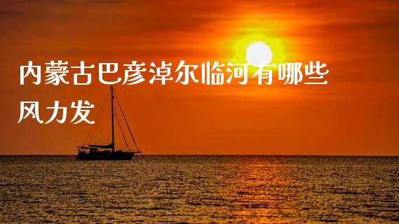 内蒙古巴彦淖尔临河有哪些风力发_https://m.jnlaobingbanjia.com_股市新闻_第1张