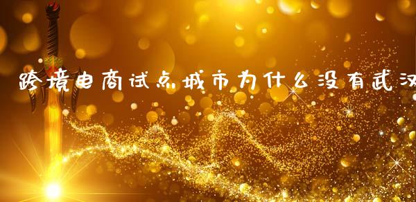 跨境电商试点城市为什么没有武汉_https://m.jnlaobingbanjia.com_金融监管_第1张