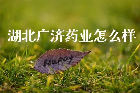 湖北广济药业怎么样_https://m.jnlaobingbanjia.com_全球市场_第1张