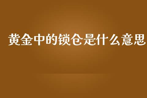 黄金中的锁仓是什么意思_https://m.jnlaobingbanjia.com_基金市场_第1张