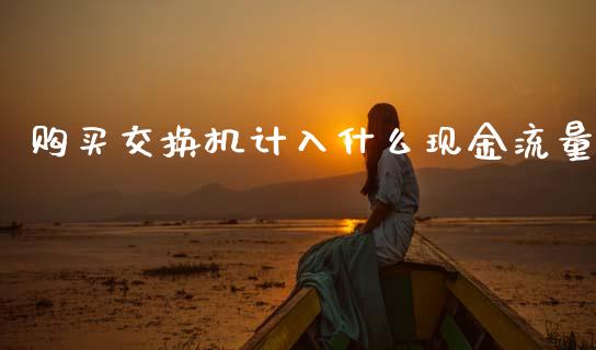 购买交换机计入什么现金流量_https://m.jnlaobingbanjia.com_金融监管_第1张