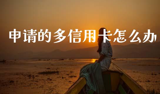 申请的多信用卡怎么办_https://m.jnlaobingbanjia.com_基金市场_第1张
