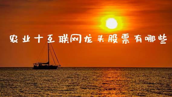 农业十互联网龙头股票有哪些_https://m.jnlaobingbanjia.com_全球市场_第1张
