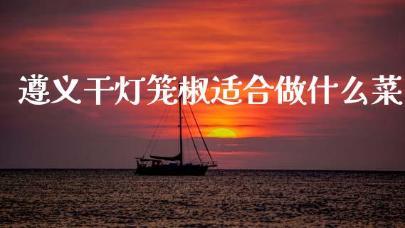 遵义干灯笼椒适合做什么菜_https://m.jnlaobingbanjia.com_股市新闻_第1张