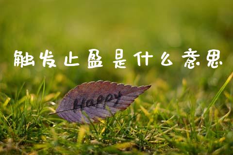 触发止盈是什么意思_https://m.jnlaobingbanjia.com_理财规划_第1张