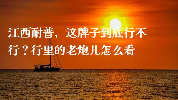 江西耐普，这牌子到底行不行？行里的老炮儿怎么看_https://m.jnlaobingbanjia.com_理财规划_第1张