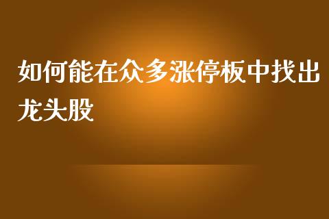 如何能在众多涨停板中找出龙头股_https://m.jnlaobingbanjia.com_基金市场_第1张