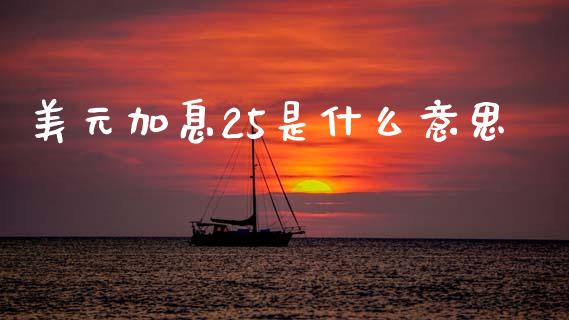 美元加息25是什么意思_https://m.jnlaobingbanjia.com_理财规划_第1张