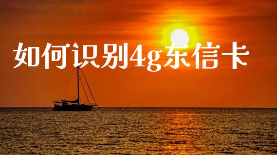如何识别4g东信卡_https://m.jnlaobingbanjia.com_全球市场_第1张