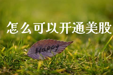 怎么可以开通美股_https://m.jnlaobingbanjia.com_理财规划_第1张
