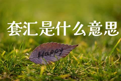 套汇是什么意思_https://m.jnlaobingbanjia.com_区块链_第1张
