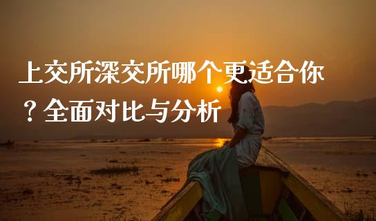 上交所深交所哪个更适合你？全面对比与分析_https://m.jnlaobingbanjia.com_基金市场_第1张