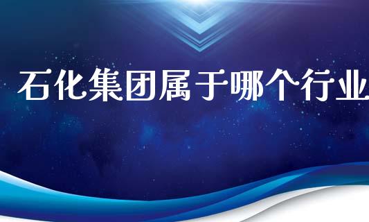 石化集团属于哪个行业_https://m.jnlaobingbanjia.com_金融监管_第1张