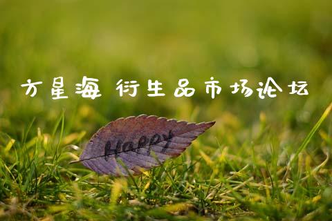 方星海 衍生品市场论坛_https://m.jnlaobingbanjia.com_区块链_第1张