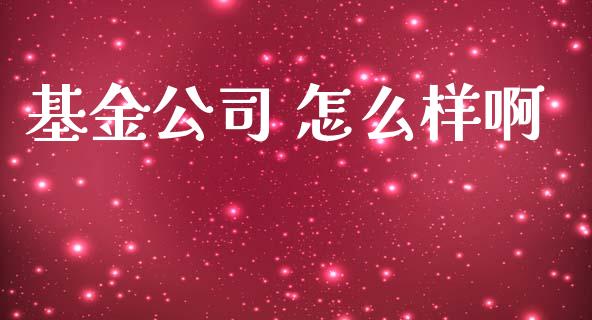 基金公司 怎么样啊_https://m.jnlaobingbanjia.com_理财规划_第1张