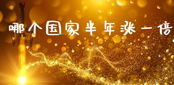 哪个国家半年涨一倍_https://m.jnlaobingbanjia.com_金融监管_第1张