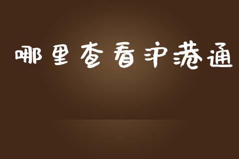 哪里查看沪港通_https://m.jnlaobingbanjia.com_全球市场_第1张