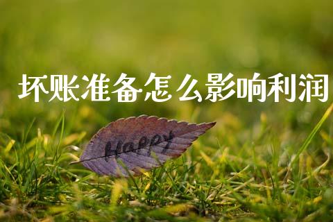 坏账准备怎么影响利润_https://m.jnlaobingbanjia.com_全球市场_第1张