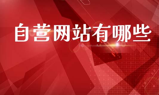 自营网站有哪些_https://m.jnlaobingbanjia.com_基金市场_第1张