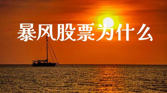 暴风股票为什么_https://m.jnlaobingbanjia.com_理财规划_第1张
