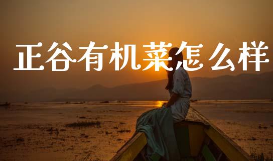 正谷有机菜怎么样_https://m.jnlaobingbanjia.com_区块链_第1张