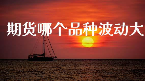 期货哪个品种波动大_https://m.jnlaobingbanjia.com_股市新闻_第1张