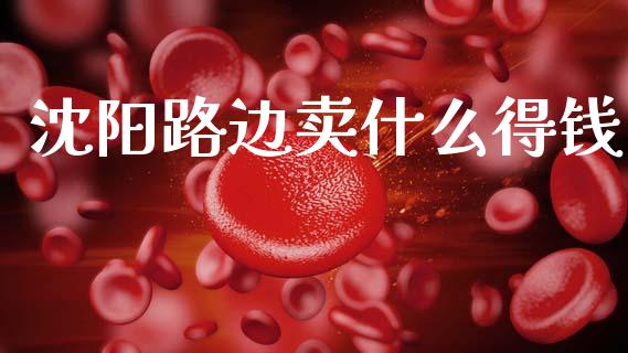 沈阳路边卖什么得钱_https://m.jnlaobingbanjia.com_基金市场_第1张