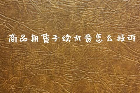商品期货手续太贵怎么投诉_https://m.jnlaobingbanjia.com_区块链_第1张