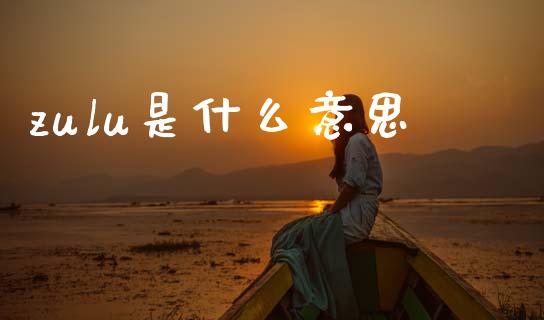 zulu是什么意思_https://m.jnlaobingbanjia.com_股市新闻_第1张