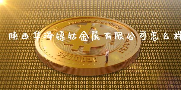 陕西华泽镍钴金属有限公司怎么样_https://m.jnlaobingbanjia.com_全球市场_第1张