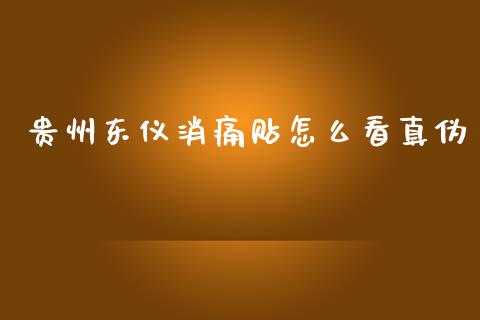 贵州东仪消痛贴怎么看真伪_https://m.jnlaobingbanjia.com_金融监管_第1张