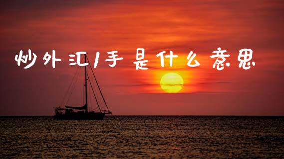 炒外汇1手是什么意思_https://m.jnlaobingbanjia.com_基金市场_第1张