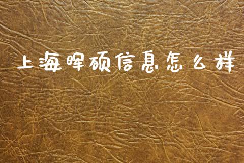 上海晖硕信息怎么样_https://m.jnlaobingbanjia.com_股市新闻_第1张