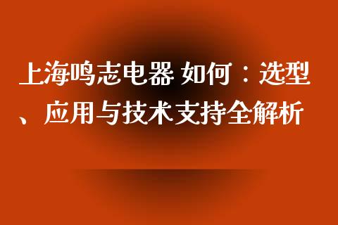 上海鸣志电器 如何：选型、应用与技术支持全解析_https://m.jnlaobingbanjia.com_区块链_第1张