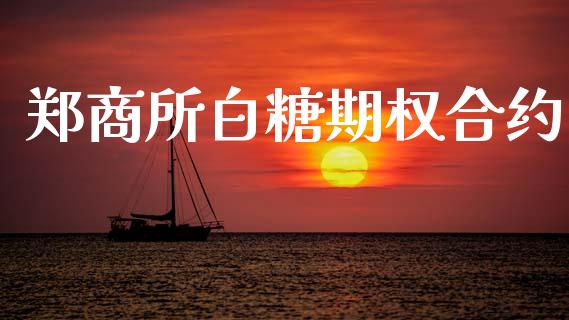 郑商所白糖期权合约_https://m.jnlaobingbanjia.com_区块链_第1张