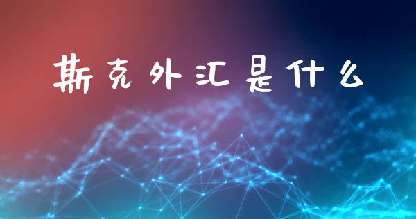 斯克外汇是什么_https://m.jnlaobingbanjia.com_理财规划_第1张
