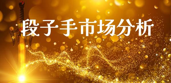 段子手市场分析_https://m.jnlaobingbanjia.com_全球市场_第1张